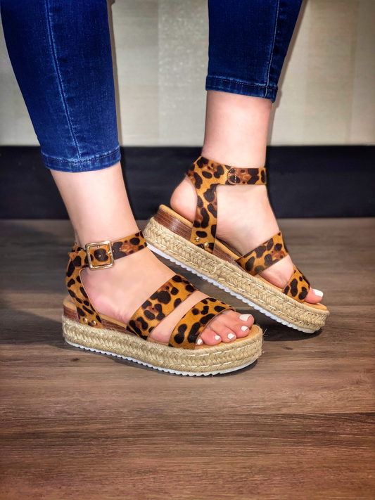 Corey Leopard