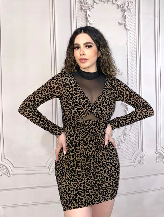 Victoria Leopard